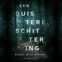 Stacy Willingham - Een duistere schittering